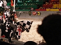 MedievalTimes (37)